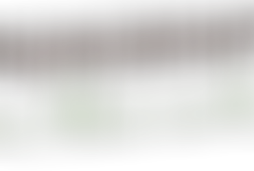 Rural Program Office