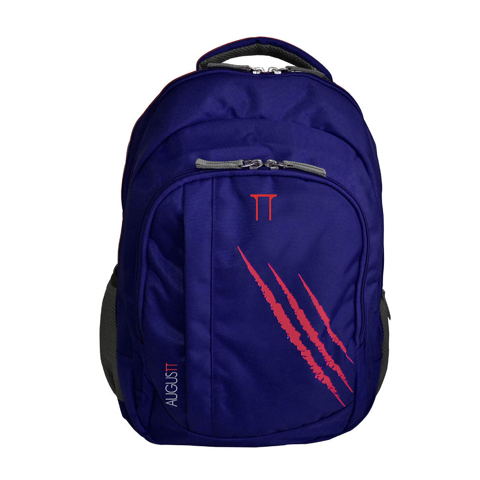 Thumbnail: Premium Multicolored Laptop Backpack  BN 31