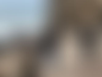 Behind the Scenes of New York Emmy-winning "Climate Artists: Courtney Mattison"