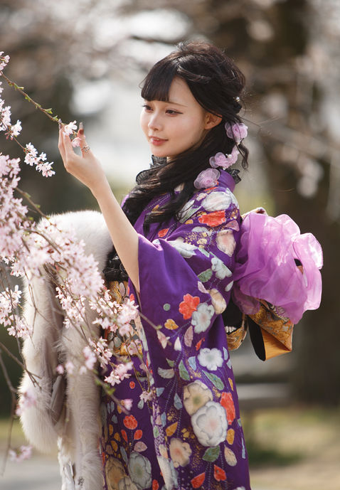 桜の木の下で紫色の振袖を着て成人式の前撮りをする女性