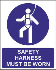 Safety Harness Must be Worn.jpg
