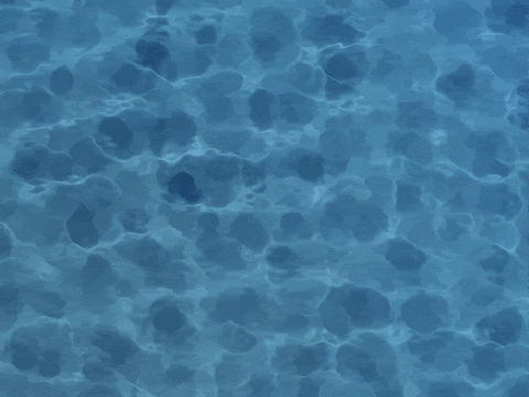 water ref 1.gif