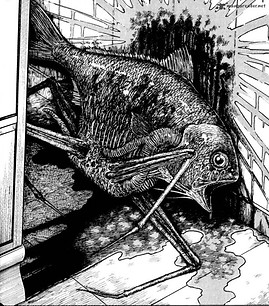 gyo ref 2.jpg
