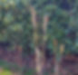20200425_120111_edited_edited.jpg