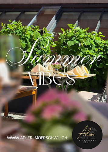 Vibes_20260522_110832_0000.png