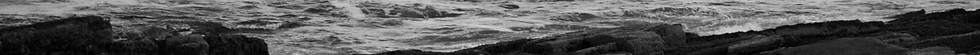 851457A8-FA5F-47D7-9F05-D58FF7392064_edited.jpg
