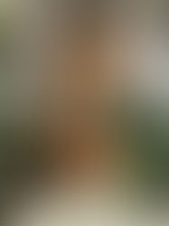 Best Wedding Venues in Mexico City for 2025 and 2026