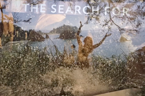 The Search For Autumn