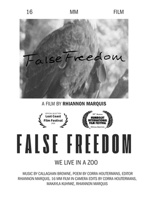 False Freedom 