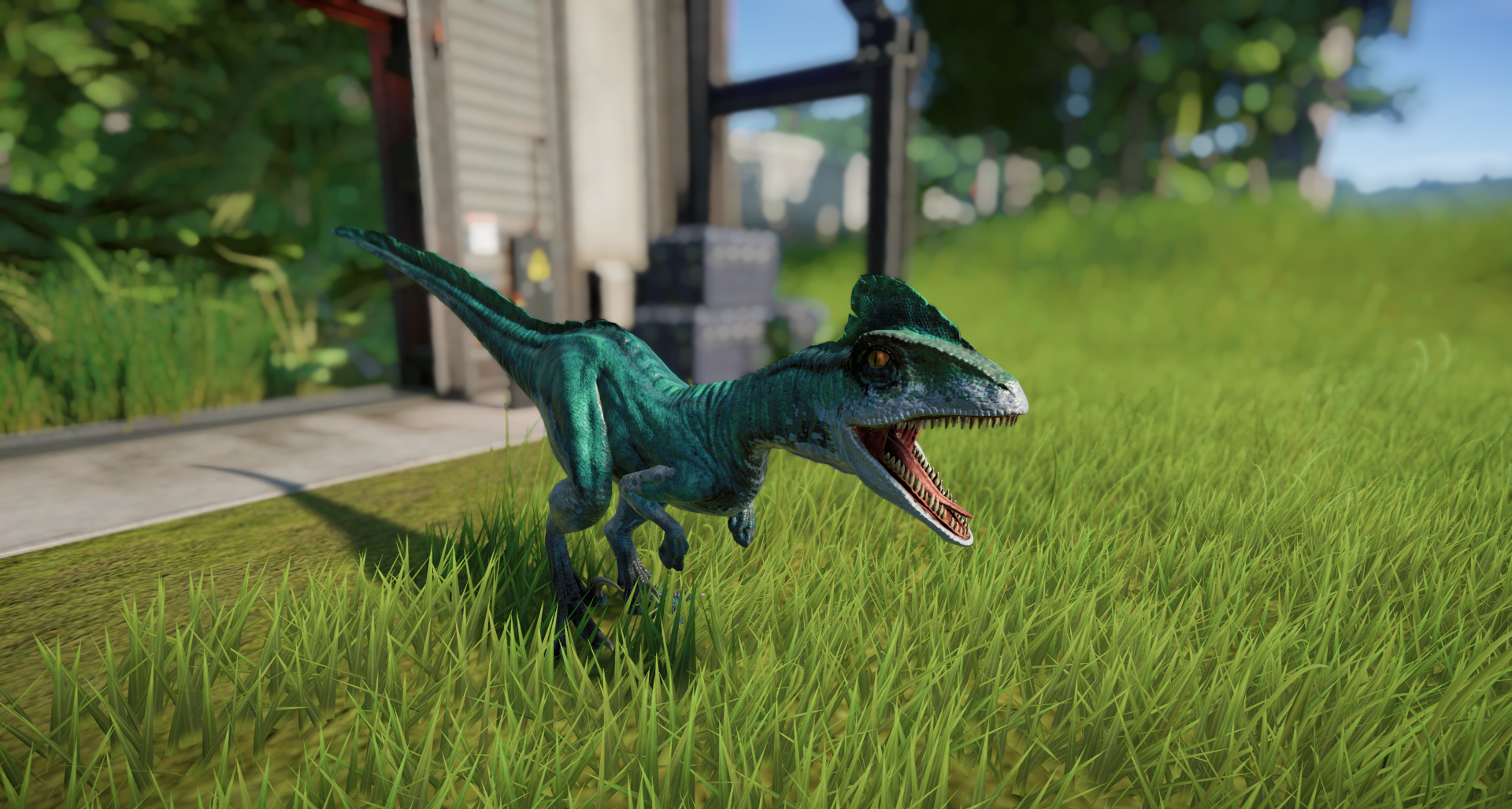 Deinonychus – just out of the Hammond Creation Lab