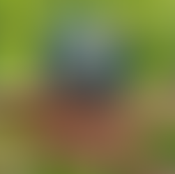 Giving Back and Nurturing with the Little Feet Collection.