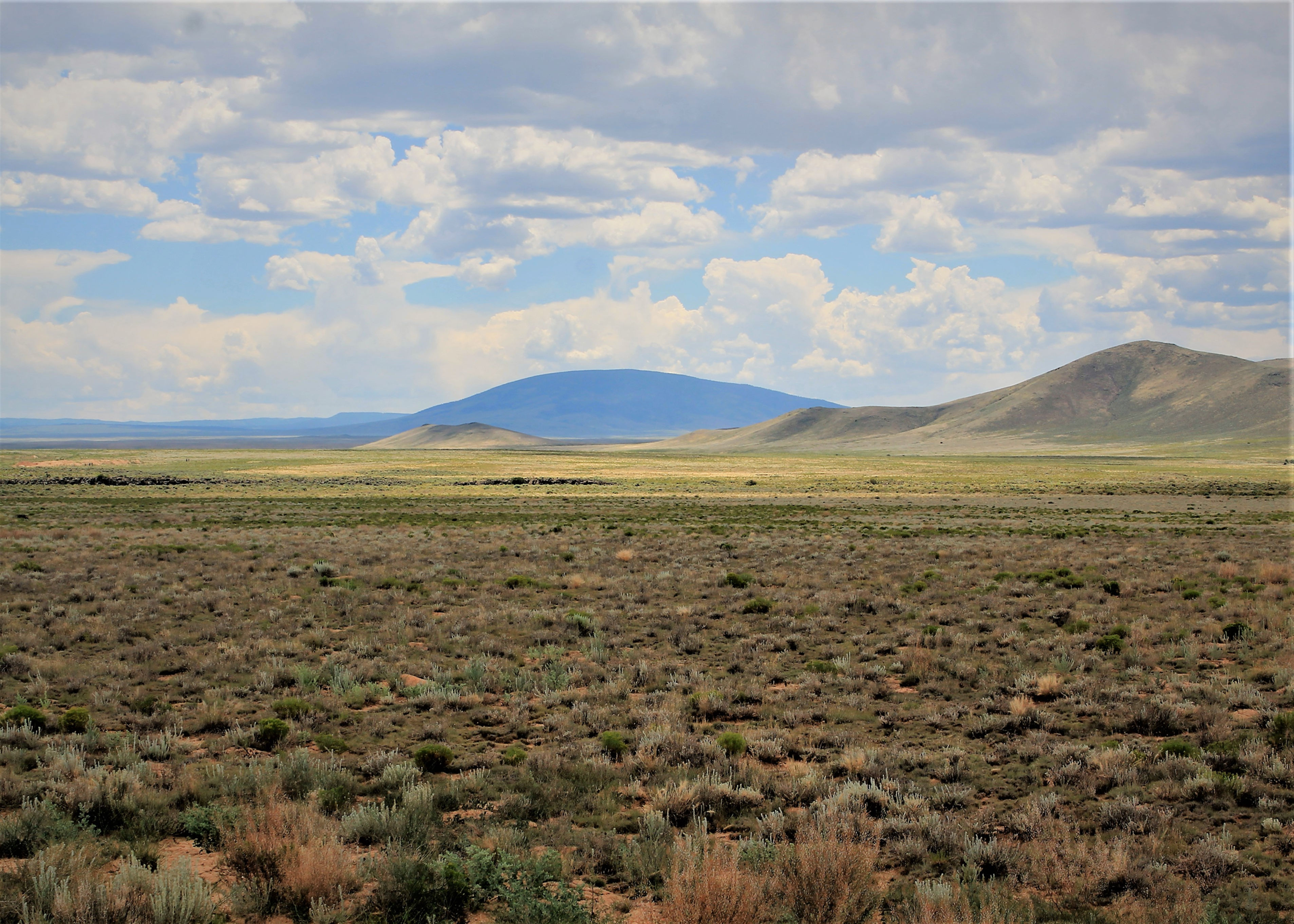 5.1 Acres Hide-Away in Colorado! - Owner Finance!