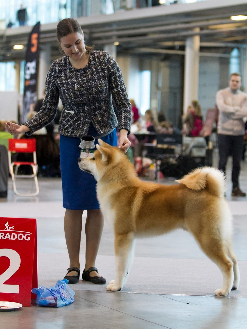 BANKAN MUNE SEMARU GO DOGMA KENNEL
