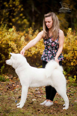 Yuki No Mai Go Bichuu Ichiriki