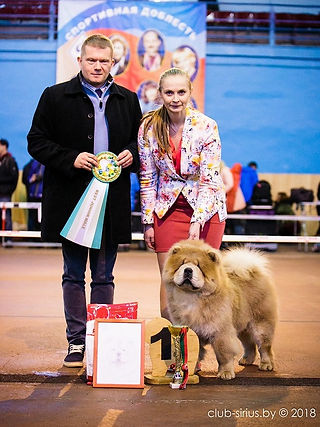 VANILNIY SHOKOLAD DLYA NORCES