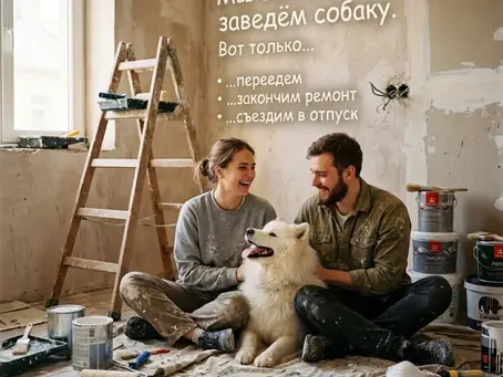 Мы обязательно заведём собаку — EVEREST Club