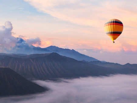 Intent on Helping NZ Reach the Top