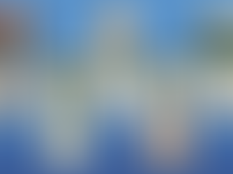 Steel Bollards for Distinctive Urban Traffic Control