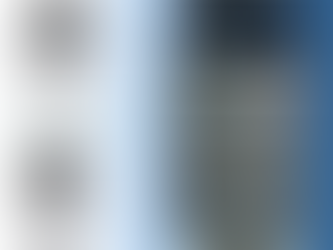 Decorative Bins for On-Street and Parklands