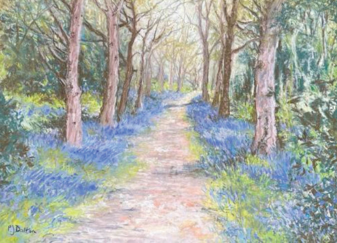 CREATIVITY & COLOUR - Wymondham Art Society