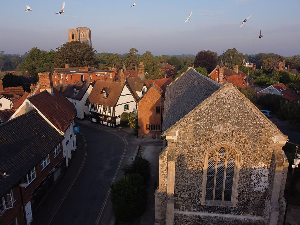 Historic Norfolk Annual Lecture: Becket's Reborn