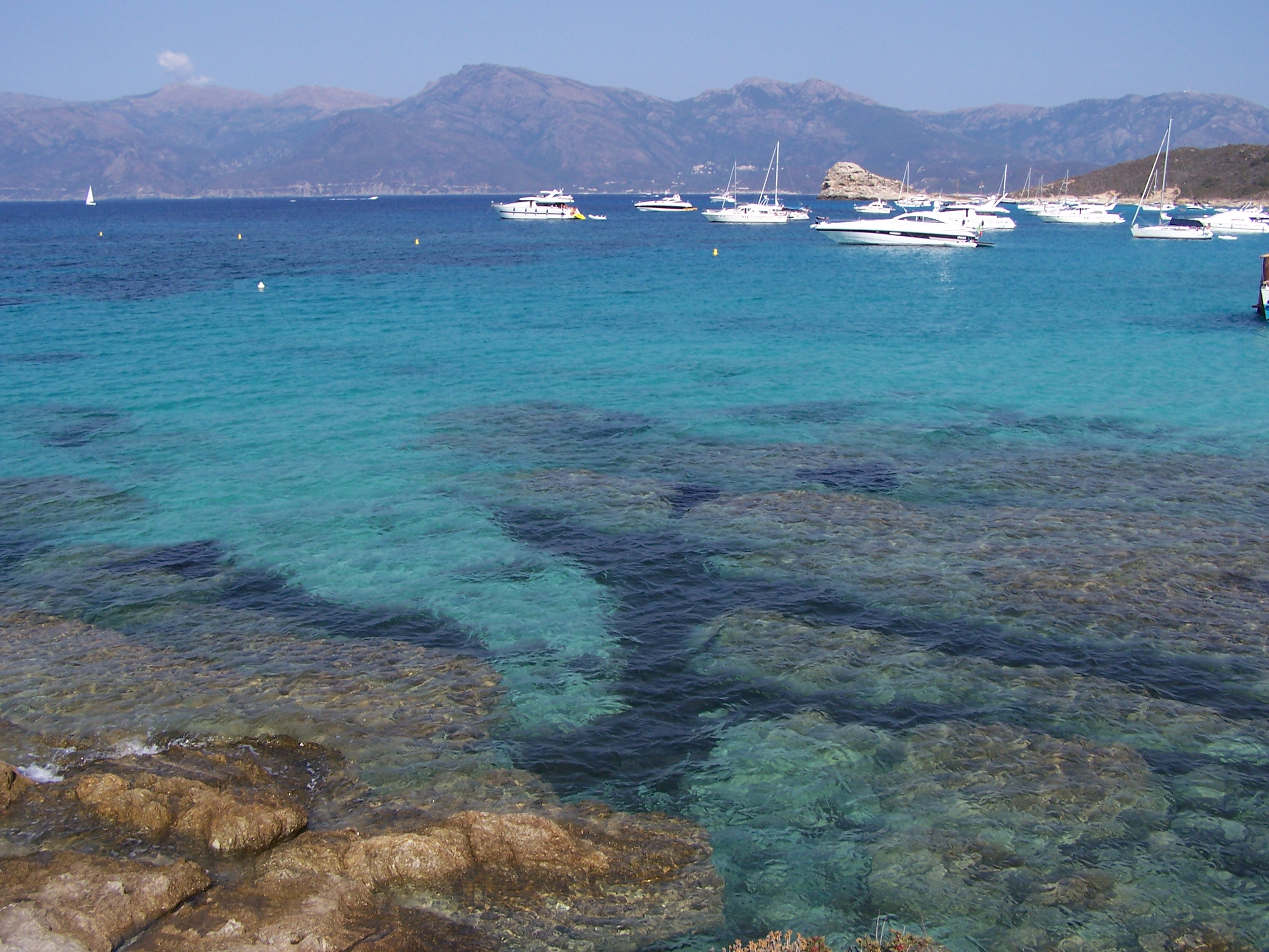 Location Corse Propriano Saint Florent Contact Location Corse