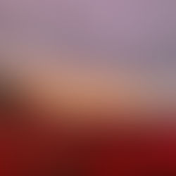 Monday (not so) Mornings in March with Morg - Ep.2