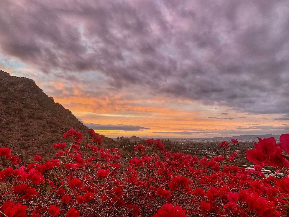 Monday (not so) Mornings in March with Morg - Ep.2