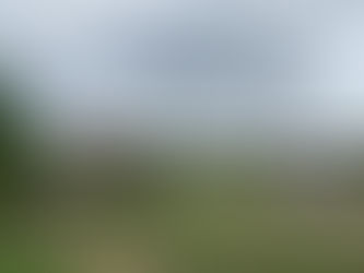 Open Farm Visits In SK: Part 2