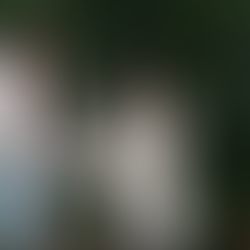 Séance photo couple à Lyon dans la serre tropicale du parc de la tête d'or par Julia Guérin