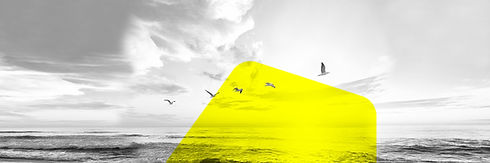 Kreative Dialogmarketingkonzepte mit Weitblick!