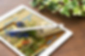 アップルペンシルでiPadの写真にちょこっとメモ