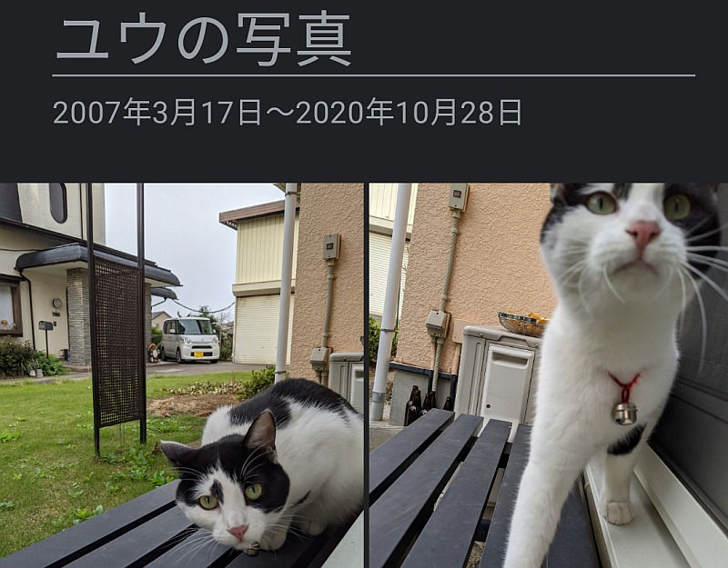 Googleフォトの凄い 自動追加アルバム