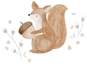 Eichhörnchen-Blumen.png