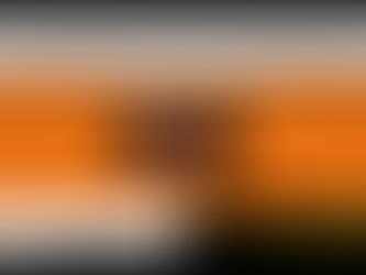 Website Improvement July 28th 2024