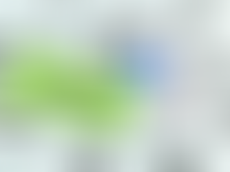 Driving Chat Commerce Revenue Through Structured LINE Engagement