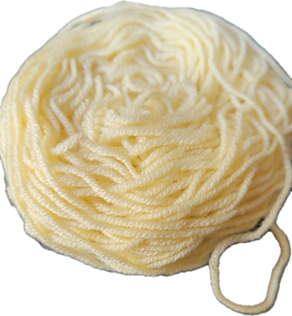 Coquille d'oeuf