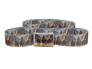 Best Price! Wild Australian Brumbies Oil Paint, Belt