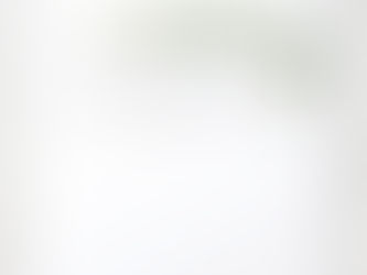 Hot Deals! Modern Greenery and Gold Rustic Wedding Envelope Liner
