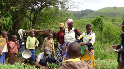 Assessment at the nursery