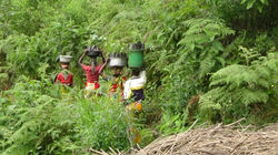 Heading out into the field