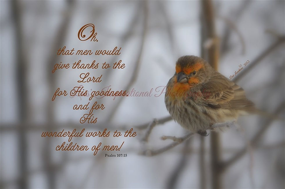 Oh, that Men would Give Thanks…
