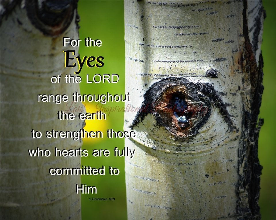 For The Eyes of the Lord...