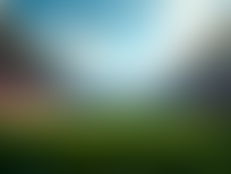 The Ultimate Derby Clash: Sunderland vs Newcastle Rivalry Explained