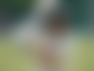 Harry Brook's Rise in Cricket A Journey of Talent, Triumphs, and Team Contributions