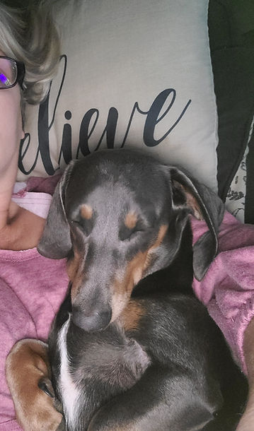 Buddy Boy Sleeping on the couch.