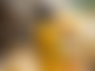 🐝 The Clean Bee’s Favorite Summer Cleaning Products