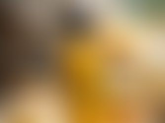 🐝 The Clean Bee’s Favorite Summer Cleaning Products