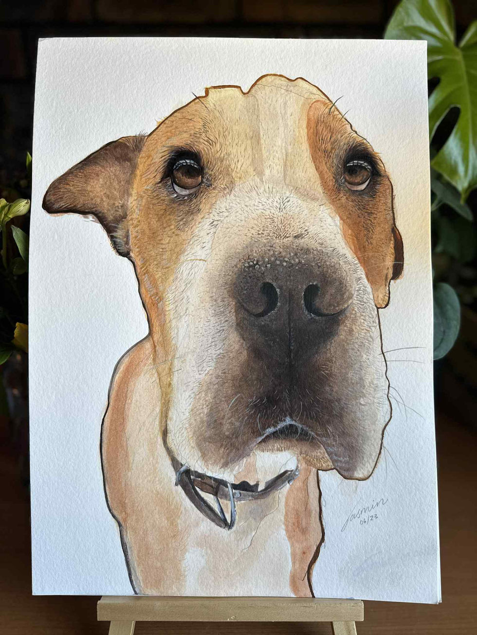 733d9eaa-de99-494e-b3cf-2ccba2f31869.jfif