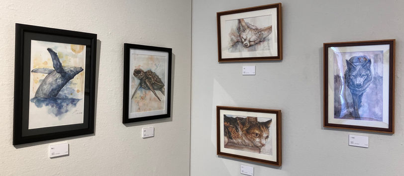 グループ展に参加します